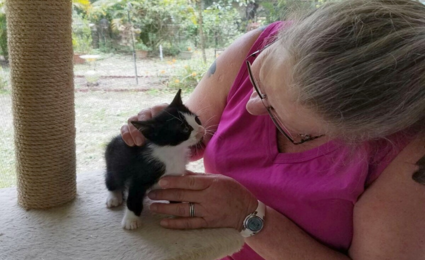 Maritza Andrews - Fostering Kittens Saves Lives | Caloosa Humane Society