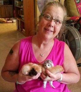 Fostering Saves Kittens Lives | Caloosa Humane Society