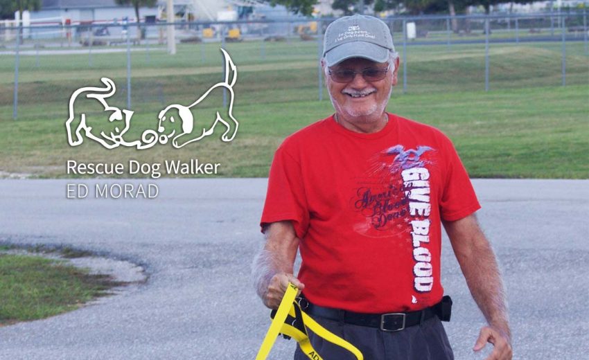 Ed Morad: Rescue Dog Walker | Caloosa Humane Society